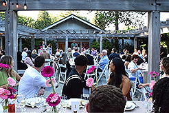 LOVE IN BLOOM AT WISTERIA HALL